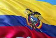 В Эквадоре призвали провести досрочные выборы