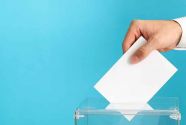 Как проходит досрочное голосование на местных выборах на Алтае