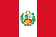 В трех регионах Перу ввели режим ЧП из-за протестов