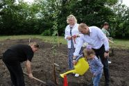 В Ушаково посадили яблоневый сад в память о погибших в ходе СВО