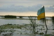 Bloomberg: Украине придется уступить Донбасс