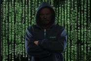 Роскомнадзор зафиксировал 181 DDoS-атаки на ресурсы ЦИК