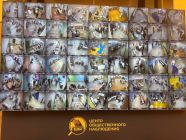 Консолидация и взаимопомощь — регионы характеризуют прошедшие выборы
