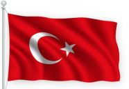 Оппозиционную партию Турции обвинили во вмешательстве в выборы