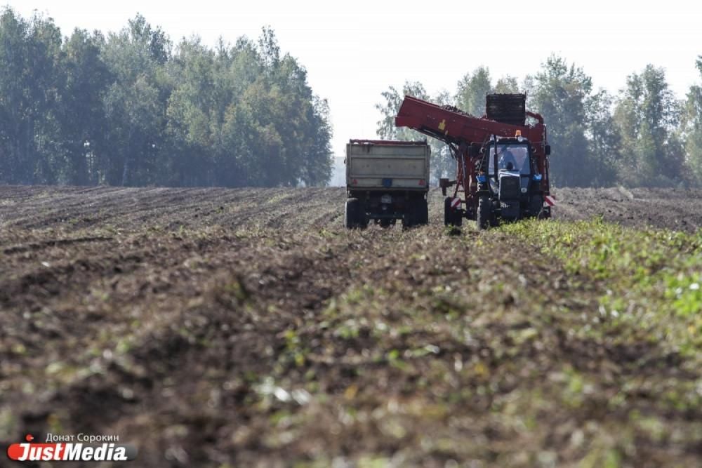 Паслер поручил региональному минАПК обеспечить дизелем фермеров