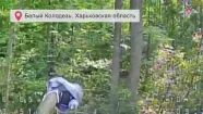 Минобороны рассказало о двух освобожденных населенных пунктах под Харьковом