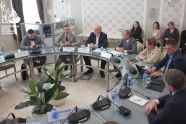 Международное наблюдение как инструмент общественной дипломатии