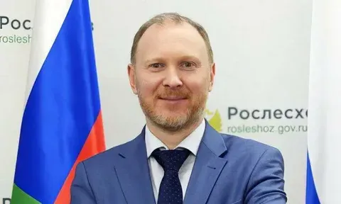 Замруководителя Рослесхоза рассказал о применении ИИ в лесной отрасли