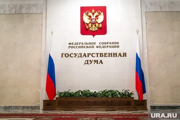 Выборы в ГД 2026: когда пройдут, кто участвует и как проголосовать через ДЭГ