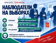 Почти 4 тысячи наблюдателей будут работать на выборах в Чечне