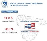 Воронежские выборы в режиме особого протокола