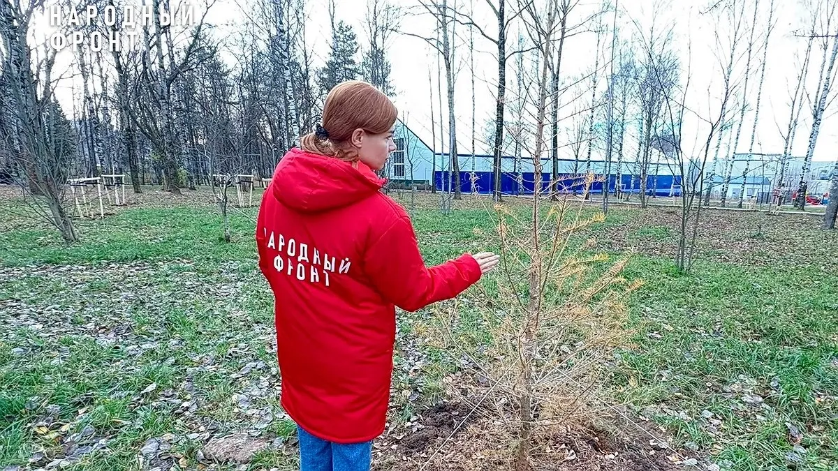 Народный фронт проверил ремонт парка Победы в Кирове